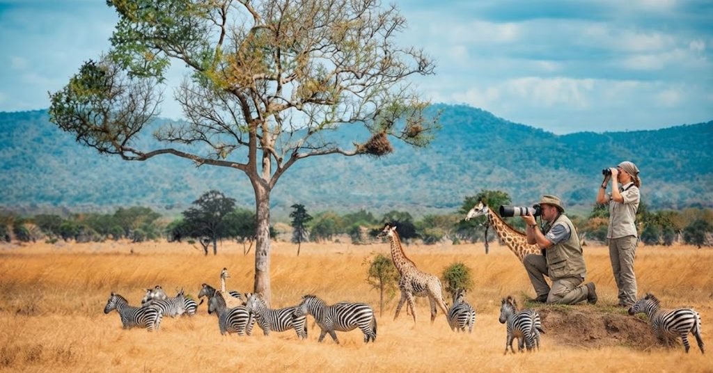 Africa for Wildlife, Nature, and Distinctive Experiences
